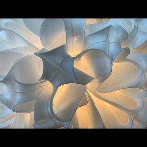 Meet your Posher, Beryl